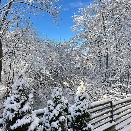 Pid Playem Lodge Volovets