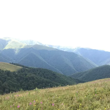 Pid Playem * Volovets